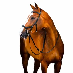 New Horseware - Bridon Rambo Micklem 2 Deluxe Competition avec rênes Noir