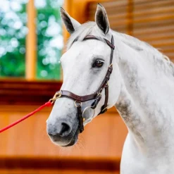 Horseware - Bridon Rambo Micklem 2.0 multibride Havane Discount