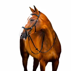 Horseware - Bridon Rambo Micklem 2 Deluxe Competition Noir Hot