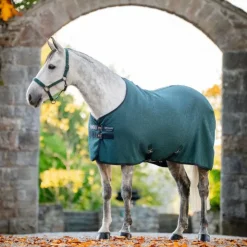 Best Horseware - Chemise séchante Rambo Techni Waffle dynasty green/ marine/ argent Vert