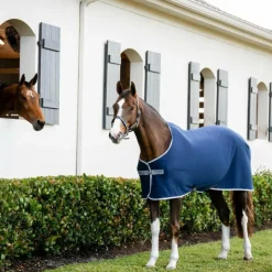 Clearance Horseware - Chemise séchante Amigo Jersey Pony / titanium grey/ argent Marine