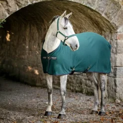 Horseware - Chemise séchante Amigo Jersey dynasty green/ marine/ argent Vert Hot