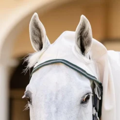 Horseware - Couverture anti-mouches Rambo Hoody XL chalk/ hunter green/ argent Beige Online