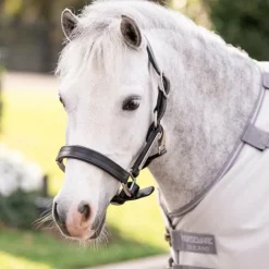 Horseware - Couverture anti-mouches Amigo Bug Rug Pony argent/ titanium grey/ argent Gris