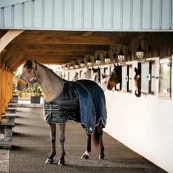 Hot Horseware - Couverture de box Easy-Layer Stable Plus / / silver 400g Noir