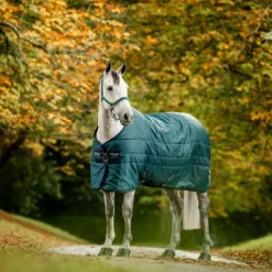 Sale Horseware - Couure de box Amigo Ripstop Insulator dynasty green/ marine/ argent 350g Vert