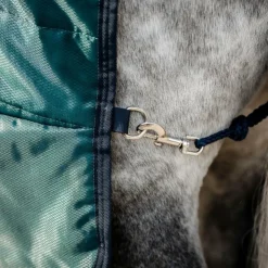 Best Horseware - Couure de box Amigo Ripstop Insulator dynasty green/ marine/ argent 200g Vert