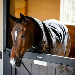 Horseware - Couverture de box Amigo Ripstop Insulator Plus Stable / argent 350g Noir