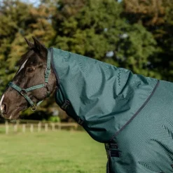 Discount Horseware - Couure d'extérieur Amigo Ripstop Plus Pony Turnout dynasty green/ marine/ argent 0g Vert