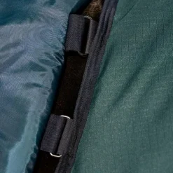 Discount Horseware - Couure d'extérieur Amigo Ripstop Plus Pony Turnout dynasty green/ marine/ argent 0g Vert