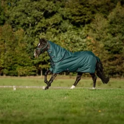 Discount Horseware - Couure d'extérieur Amigo Ripstop Plus Pony Turnout dynasty green/ marine/ argent 0g Vert