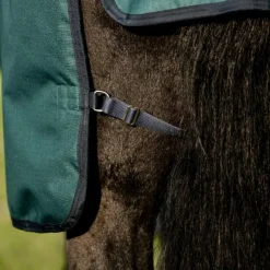New Horseware - Couure d'extérieur Amigo Ripstop Plus Turnout dynasty green/ marine/ argent 0g Vert