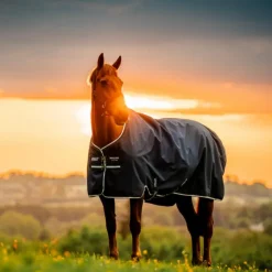 Horseware - Couverture d'extérieur Amigo Ripstop Turnout doublé polaire witney navy 50g Bleu Sale