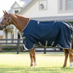 Outlet Horseware - Couverture d'extérieur Amigo Turnout / titanium grey/ argent 0g Marine