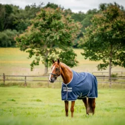 Horseware - Couverture d'extérieur Amigo Ripstop Turnout / titanium grey 100g Marine