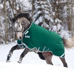 Horseware - Couure d'extérieur Rambo Original Legs Arches / argent 400g Vert Clearance