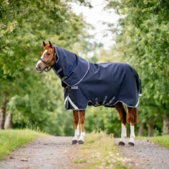Clearance Horseware - Couverture d'extérieur Rambo Plus Turnout / thunderstorm grey/ argent 100g Marine