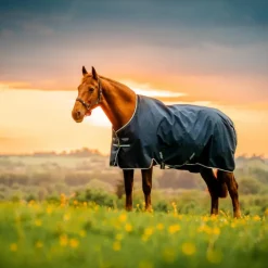 Horseware - Couverture d'extérieur Amigo Ripstop Pony Turnout witney navy 0g Bleu Clearance