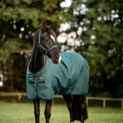 Horseware - Couure d'extérieur Amigo Ripstop Pony Turnout dynasty green/ marine/ argent 0g Vert Online