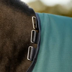 Horseware - Couure d'extérieur Amigo Ripstop Pony Turnout dynasty green/ marine/ argent 0g Vert Online