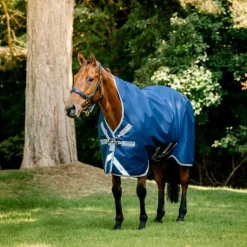 Outlet Horseware - Couverture d'extérieur Amigo Bravo 12 Wug / titanium grey/ argent 400g Marine