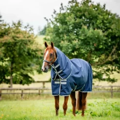 Horseware - Couverture d'extérieur Amigo Ripstop 900 Plus / titanium grey 100g Marine Online