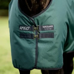 Horseware - Couure d'extérieur Amigo Ripstop Fleece Lined Turnout dynasty green/ marine/ argent 50g Vert Hot