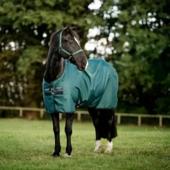 Horseware - Couure d'extérieur Amigo Ripstop Fleece Lined Turnout dynasty green/ marine/ argent 50g Vert Hot