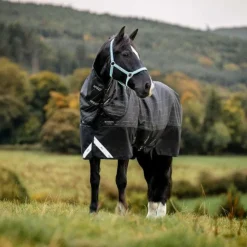 Horseware - Couverture d'extérieur Amigo FieldSafe Reflectech Plus Turnout 0g Noir Sale
