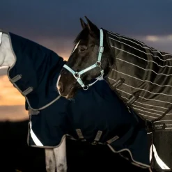 Hot Horseware - Couverture d'extérieur Amigo FieldSafe Plus Turnout / titanium grey/ argent 250g Marine
