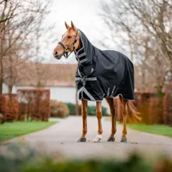 Sale Horseware - Couverture d'extérieur Amigo Bravo Integrated Turnout / titanium grey/ argent 150g Noir