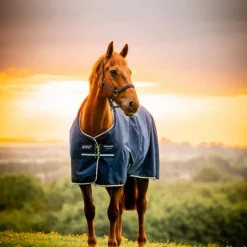New Horseware - Couverture d'extérieur Amigo Ripstop Pony Turnout witney navy 100g Bleu