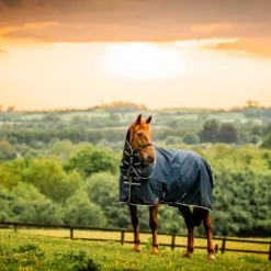 Horseware - Couverture d'extérieur Amigo Ripstop Plus Pony Turnout witney navy 200g Bleu Discount
