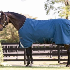 Horseware - Couverture d'extérieur Rhino Turnout / gris/ aqua 100g Marine Sale