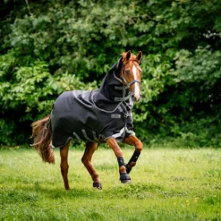 Horseware - Couverture d'extérieur Rambo Plus Turnout / thunderstorm grey/ argent 100g Noir