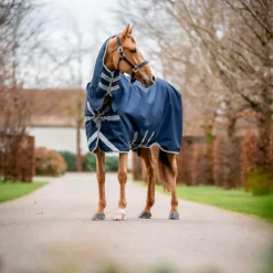 Horseware - Couverture d'extérieur Amigo Bravo Integrated Turnout / titanium grey/ argent 0g Marine