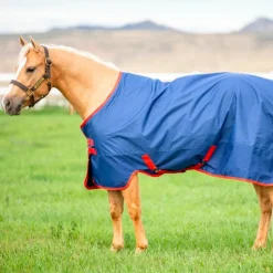 Horseware - Couverture d'extérieur imperméable Mio T/O Lite / rouge 0g Bleu Best