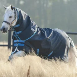 Discount Horseware - Couverture d'extérieur Amigo Bravo poney plus avec couvre-cou / turquoise 250g Marine