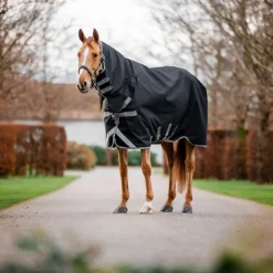 Hot Horseware - Couverture d'extérieur Amigo Bravo Integrated Turnout / titanium grey/ argent 0g Noir