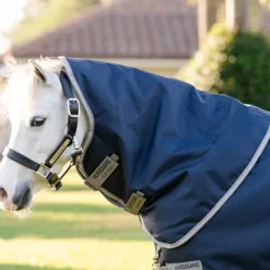 Sale Horseware - Couverture d'extérieur Amigo Bravo Plus Pony Turnout / titanium grey/ argent 250g Marine