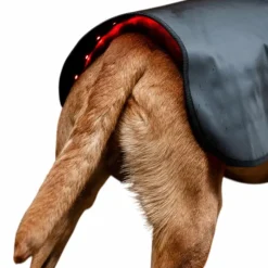 Horseware - Couverture pour chien thérapeutique lumière rouge LED Noir New