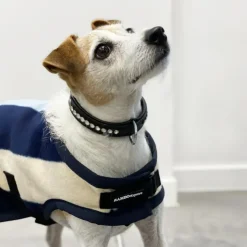 Sale Horseware - Couverture pour chien Rambo Deluxe rayé / blanc 0g Bleu