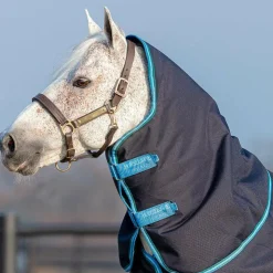 Online Horseware - Couvre-cou Amigo Bravo 12 Original / turquoise 150g Marine