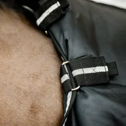 Online Horseware - Couvre-cou Easy Layer Stable et silver 100g Noir