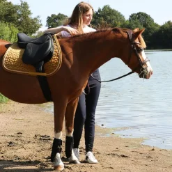 Horseware - Guêtres fermées Adagio x2 Noir Outlet