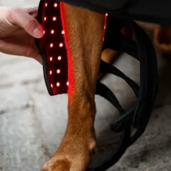Horseware - Guêtres thérapeutiques pour chien Lumière rouge LED Noir Online
