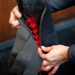 Horseware - Guêtres thérapeutiques lumière rouge LED (x1) Noir Clearance