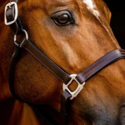 Outlet Horseware - Licol en cuir Signature Marron