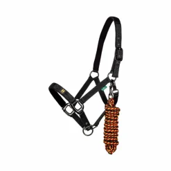 New Horseware - Licol et longe Newmarket witney gold Jaune