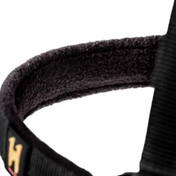 New Horseware - Licol et longe Newmarket witney gold Jaune